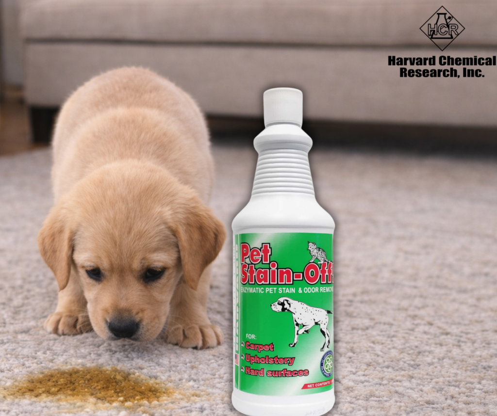 Chemical24. Pl - odplamiacz harvard pet stainoff 3. 7l - środek do usuwania plam z moczu zwierząt - projekt bez nazwy 1