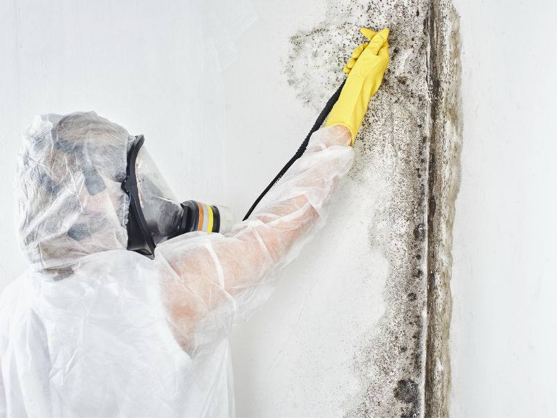 Co zabija zapach stęchlizny? czym go usunąć?